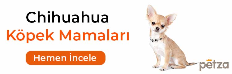 chihuahua köpek maması